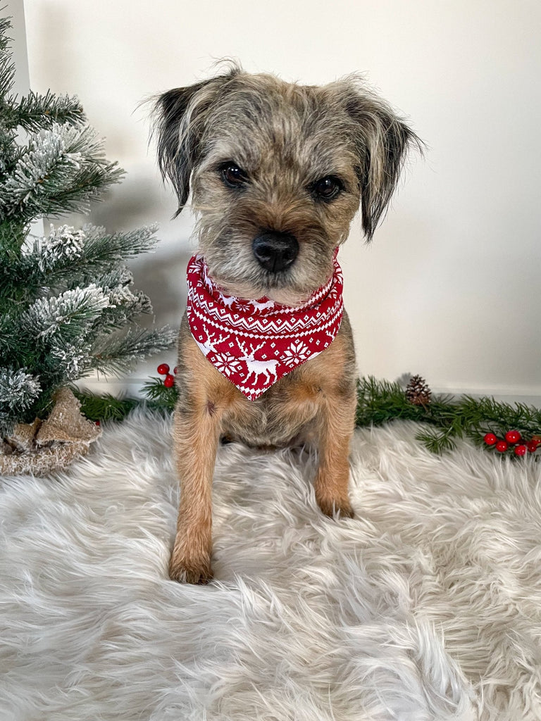 fair isle dog bandana